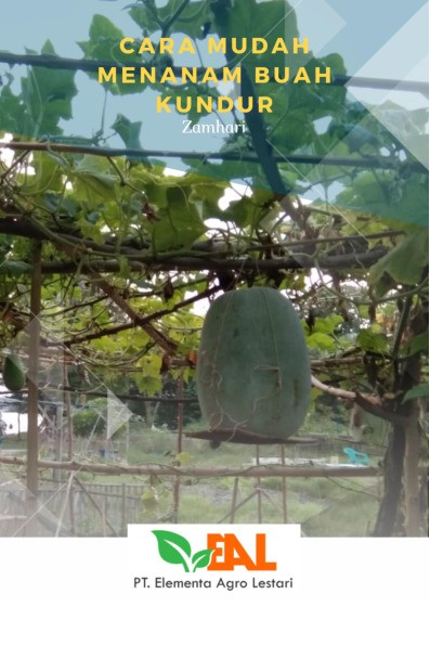 Cara Mudah Menanam Buah Kundur